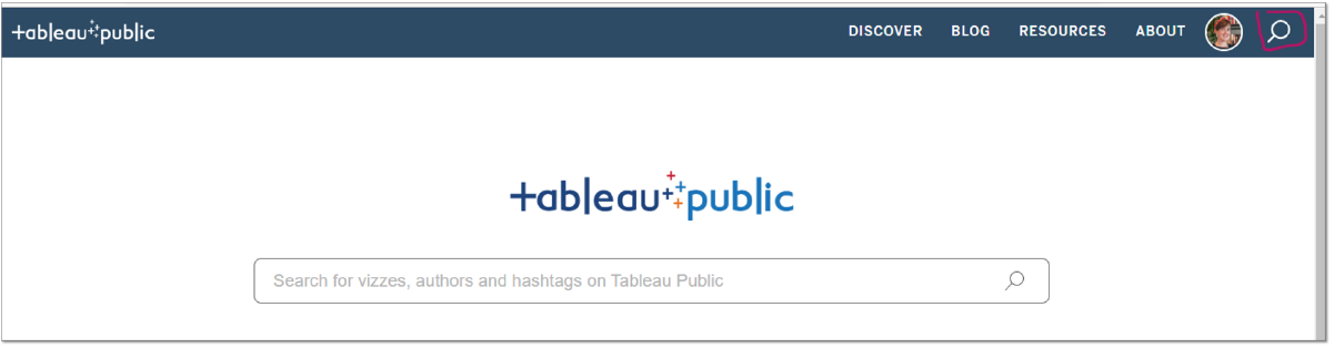 Screenshot of the Tableau Public portal showing the search option