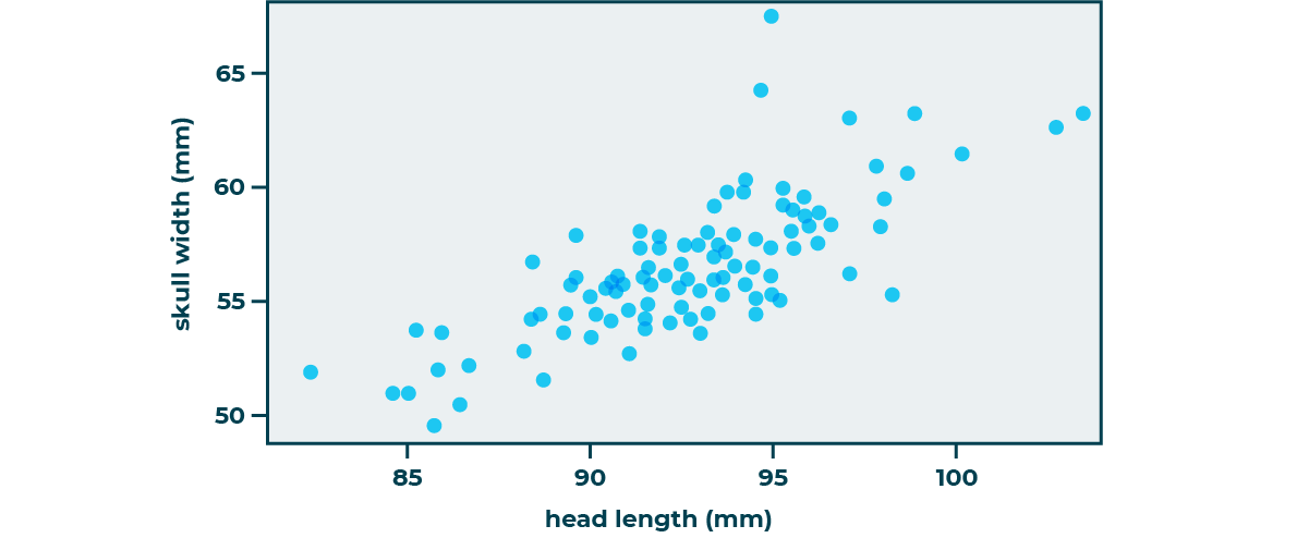 A scatter plot showing the relationship between the skull width and the head length of a possum