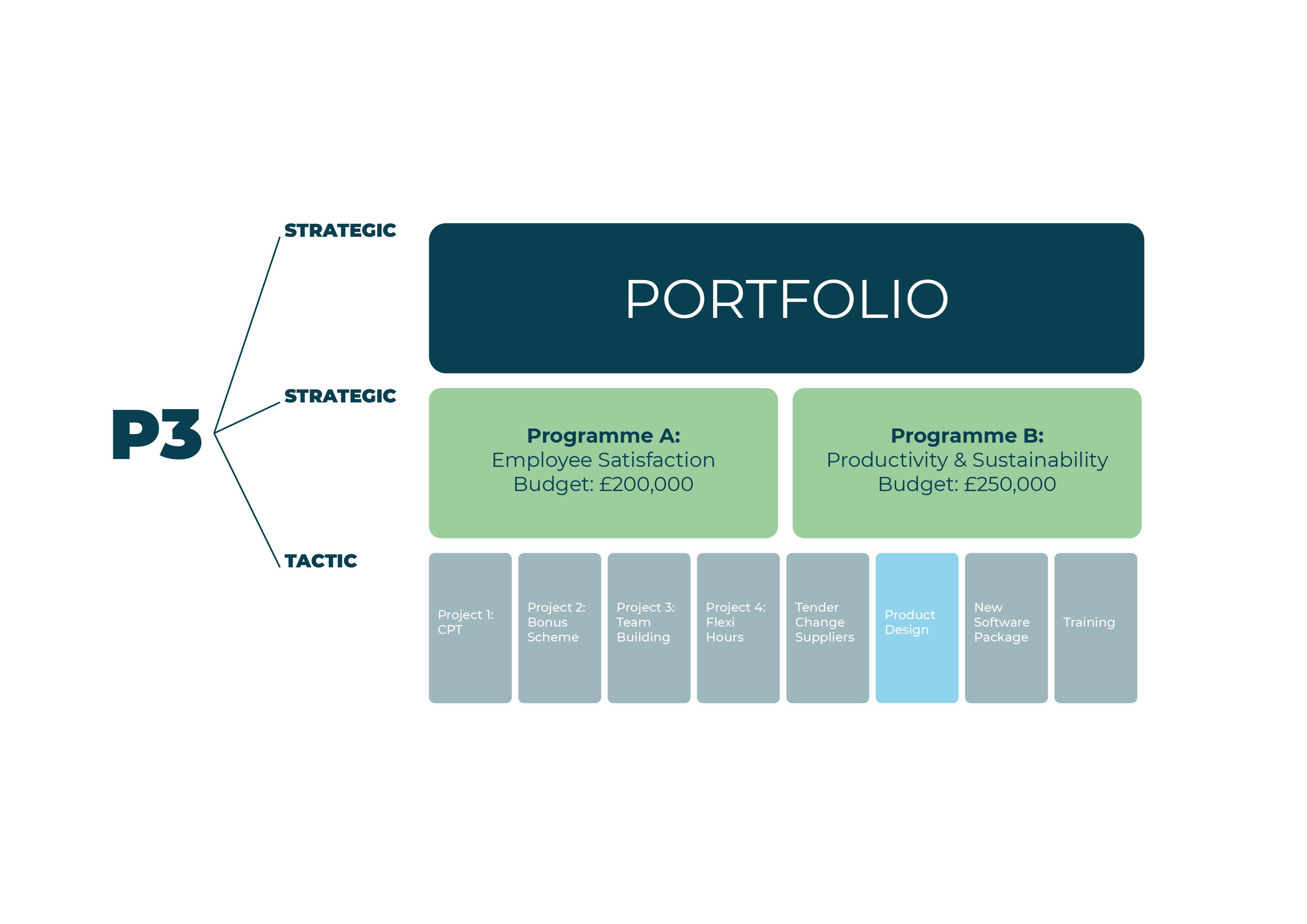 A diagram showing an example of where a project might sit within an organisation's portfolios and programmes