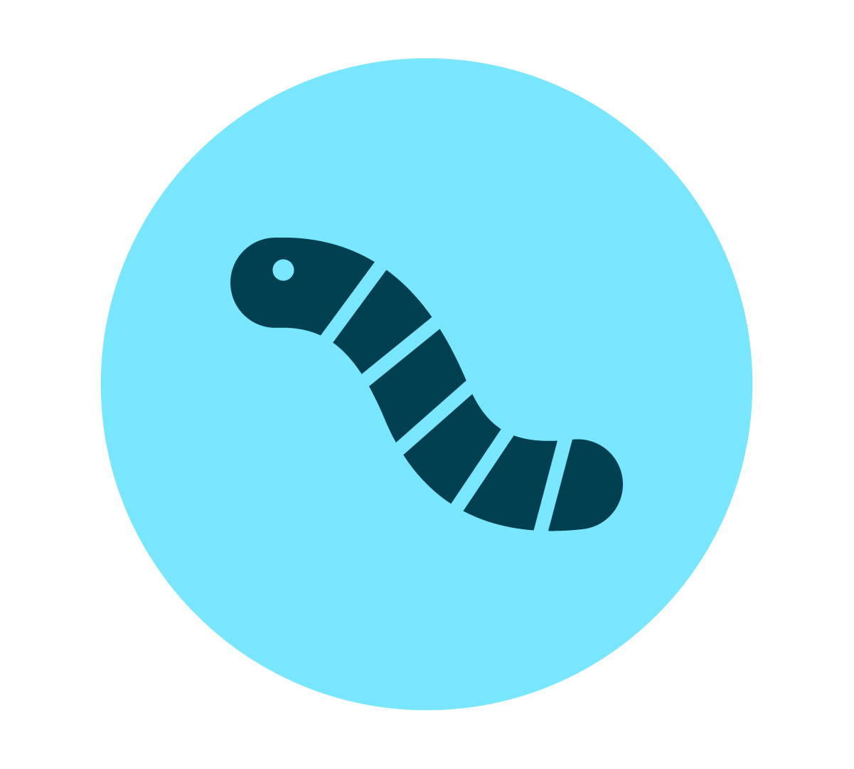 Decorative icon: Worm