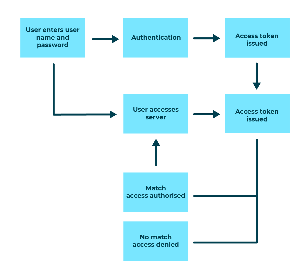 Flow diagram showing user authorization, from password to either access or denial of access.