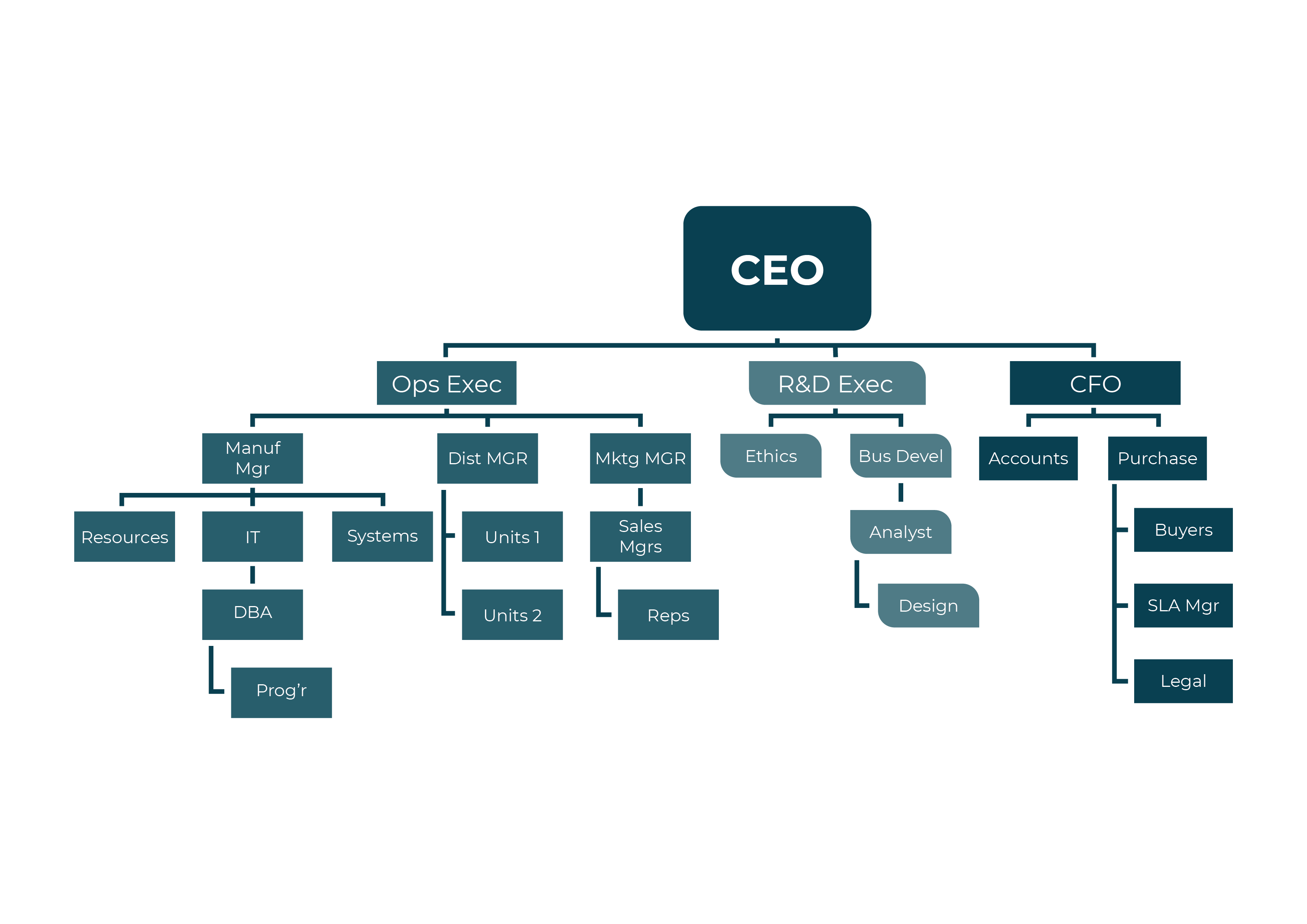 An example organisation breakdown structure